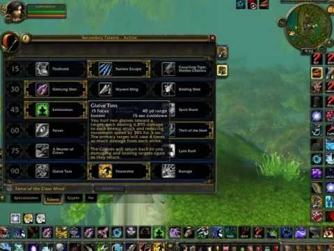 90 BM Hunter Guide WoW PvP(720 p) - 2v2 and RBGs MoP - World of Warcraft BattleMasterPvP