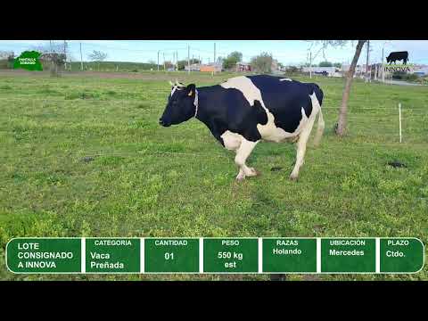 Video del lote L0-000847