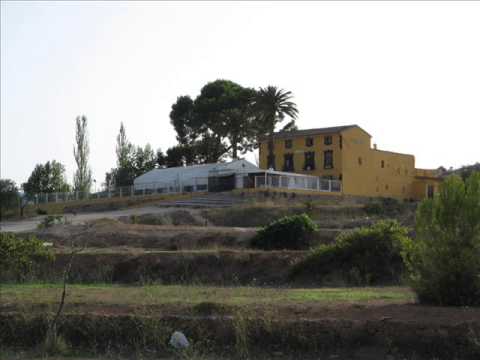 Mark V & Poogie Bear   Meet Zeppelin  by MONYKETAMINA