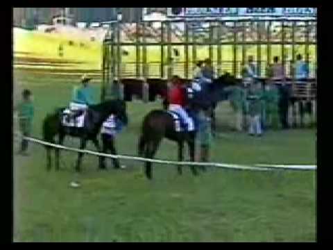 2 Teil Derby 1985 Acatenango Lirung Vorstellung