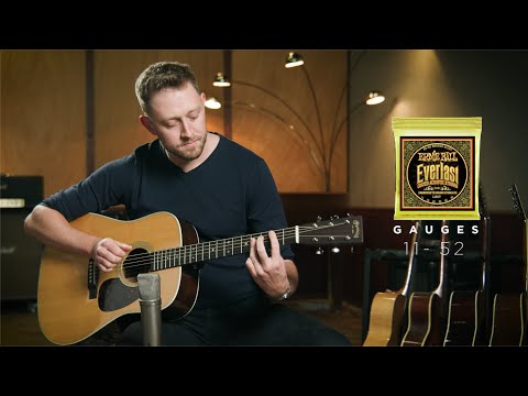 Ernie Ball EB-2560