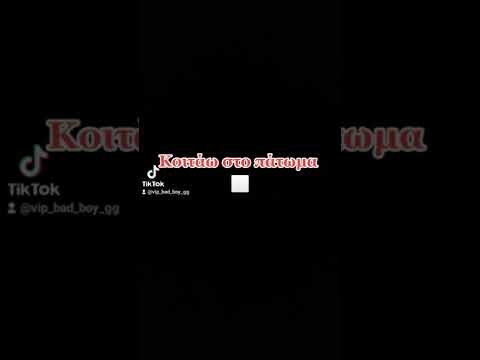 SILLY SLIME X DOGO LOCO - DRACO