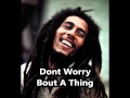 Dont Worry Bout A Thing - Bob Marley Cover 