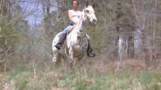 A bond between horse and rider