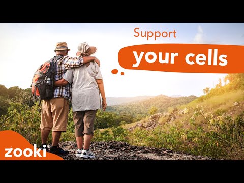 How Does Glutathione Support Energy Levels? | The Master Antioxidant Explained | Zooki