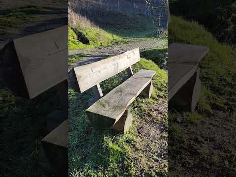 Rheinsteig im sonnigen Januar | Wandern Hiking 4K