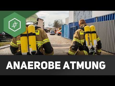 Anaerobe Atmung