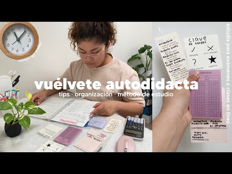 Study on your own: tips for self-study for exams or online classes 🗓