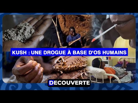 DECOUVERTE : N°6 - Kush : Une Drogue à base d'os humains de la Sierra Leone qui étend son Influence