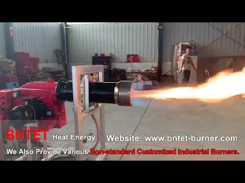 BNG250P Gas Burner Testing  BNTET