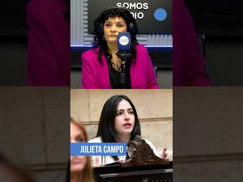 CRISIS y desamparo en el CHACO: El desgarrador testimonio de la diputada Julieta Campo