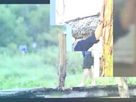 Thương nhớ ngoại tôi - Huỳnh Nguyễn Công Bằng