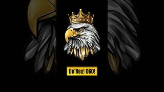 Pardo Do’Rey! 060!
