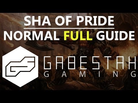 Sha of Pride Normal Raid Guide [VOX]