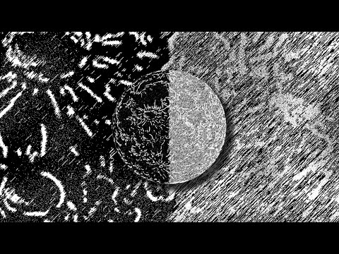 1. Esto es reggaeton Feat. Vasseta & Estasi Assoluto.