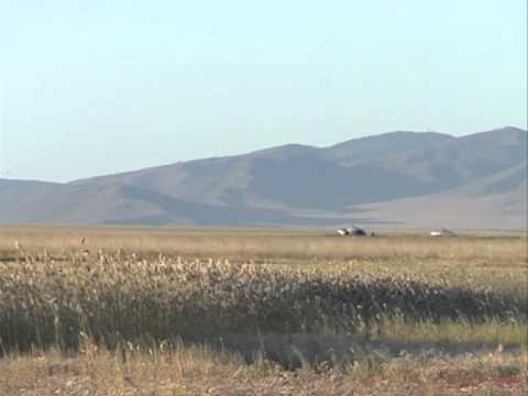 S.Erkhembayar- Ayanii shuvuud