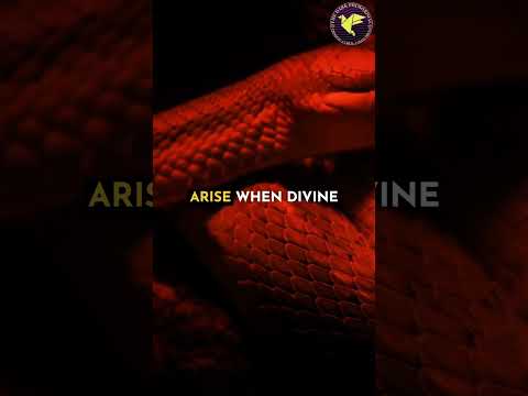 God's Hidden Light & The Rise of Evil