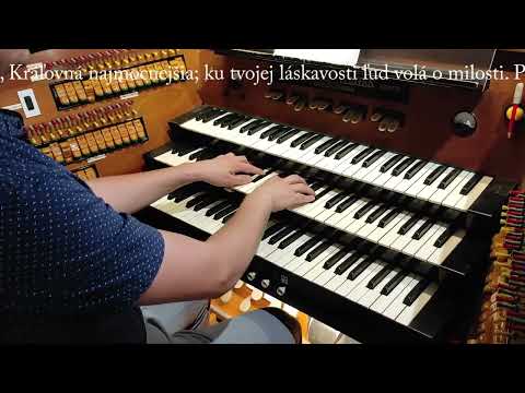 JKS 343 - Mária najčistejšia (Dóm sv. Alžbety)