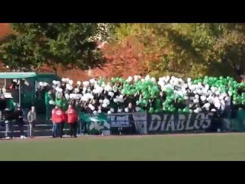 VfL 05 Hohenstein-Ernstthal - BSG Chemie Leipzig