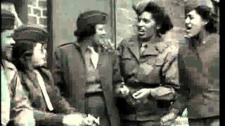 African American History Project