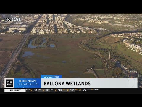 Ballona Wetlands | Look At This!