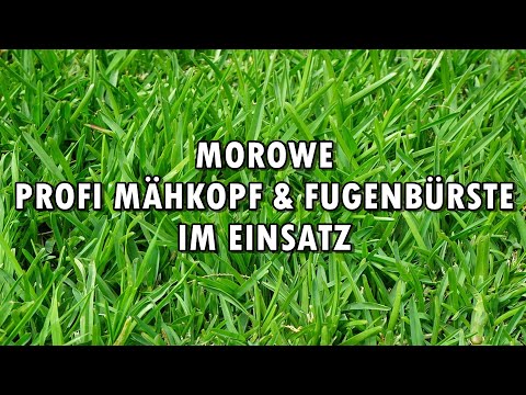 MOROWE Profi Mähkopf & Fugenbürste im Einsatz