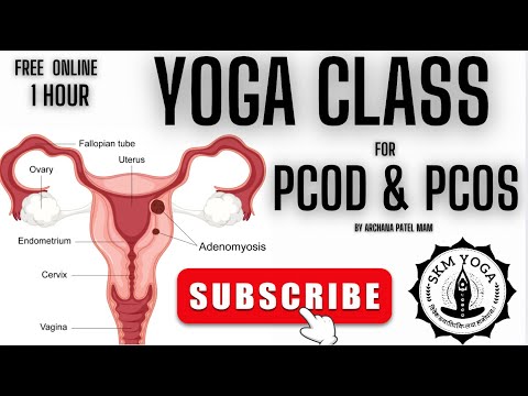 Best Online Yoga Training