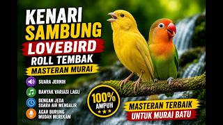 Download lagu 🔥 MASTERAN Kenari Sambung Lovebird UNTUK MURAI BATU 🔥super jernih dengan jeda suara air mengalir  🌿💧 mp3