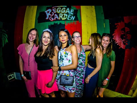 NiteFlexx Open AirDnB Gathering 29.06.2019. Aftermovie