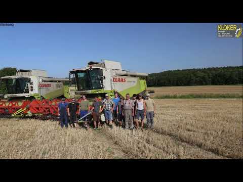 Lohnunternehmen Kloker - 6 Mähdrescher auf einem Feld 🤯