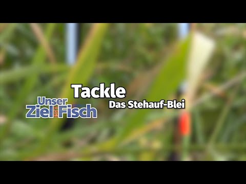 The 'Standing Lead' - Our goal is fish - Tackle