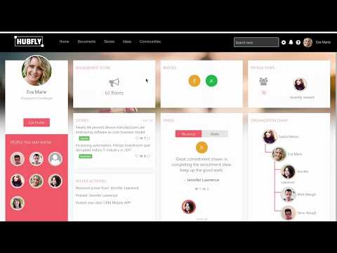 Hubfly   video/presentation/materials