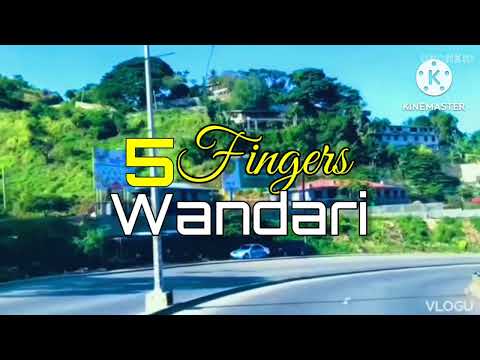 5 Fingers Wandari