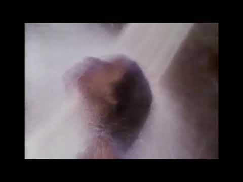 02. Infinity Frequencies - Y∞U & ME