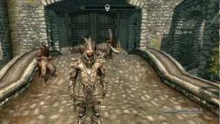 TES 5: Skyrim - Супер мега Баг