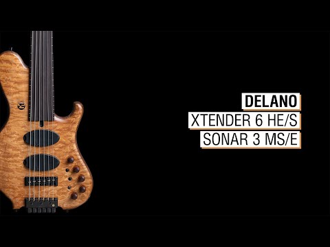 Delano Xtender 6 HE/S + Sonar 3 MS/E - Maruszczyk Paddock 6a Headless Fretless 33”