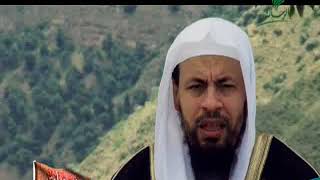 صورة محمد موسى الشريف | شخصيات اندلسية | عمر بن الحسن الهوزني