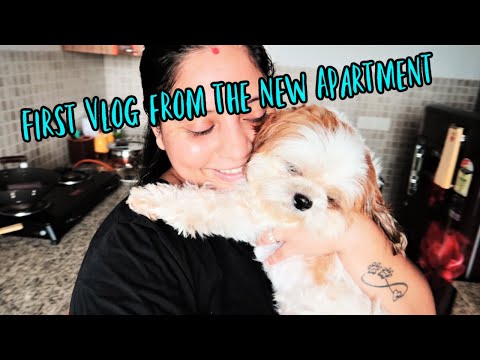 FIRST VLOG From The New Apartment | My First Cooking in the new house Video