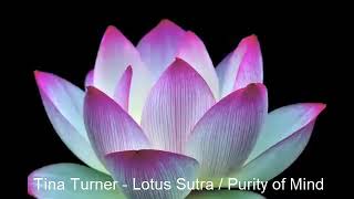 Tina Turner - Lotus Sutra / Purity of Mind