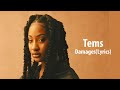 Tems - Damages(Lyrics Video)