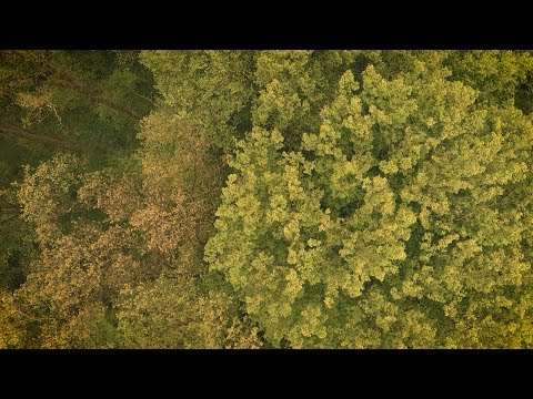 Moonfellas - Underwater Sun (Official Lyric Video)