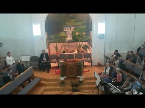 Evanghelizare Rebra 04.01.2019