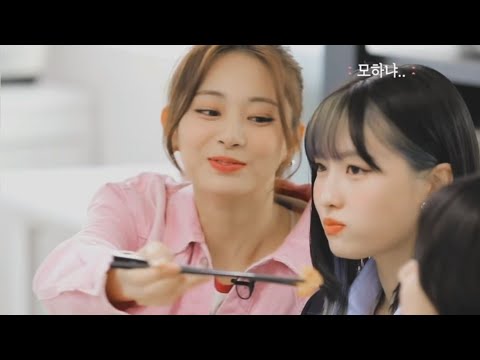 Tzuyu does not feed Momo 😭😂