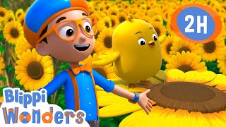 Spring Chick | Blippi Wonders | Moonbug Kids - Play and Learn