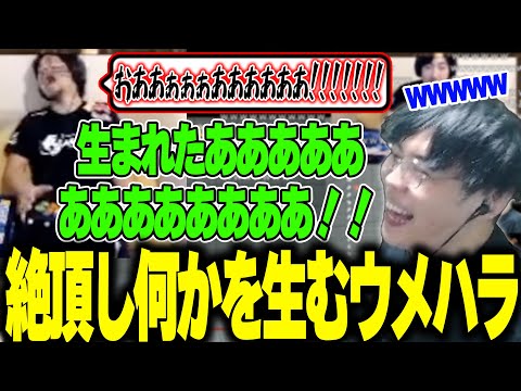 レバーレス（ガフロコン）に移行し、ひたすらコンボ練習をして絶頂するウメハラを見るスパイギア【スパイギア切り抜き】