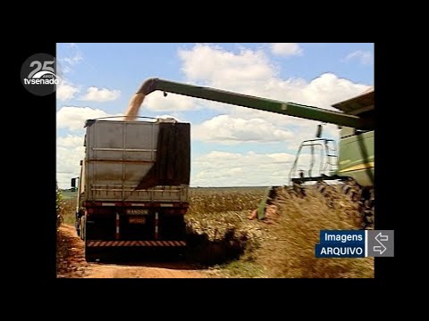 Senado aprova MP que ajuda pequeno criador de animais acessar estoque público de milho