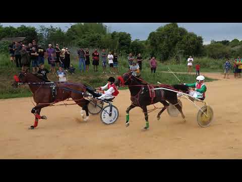 Scooby x Kw Especialista x Vigor x Incauto