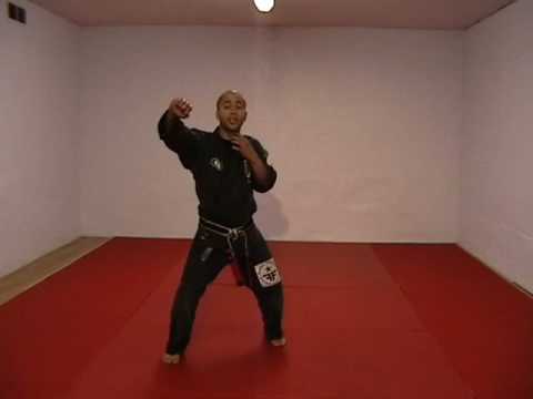 CASA DE KENPO - AMERICAN KENPO - LONG FORM 2
