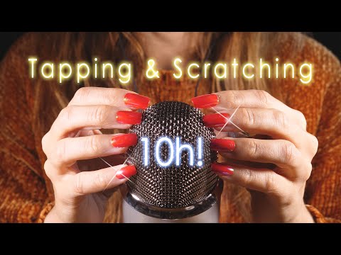 [ASMR] Tapping & Scratching for Deep Sleep 😴 4k (No Talking) 10hrs