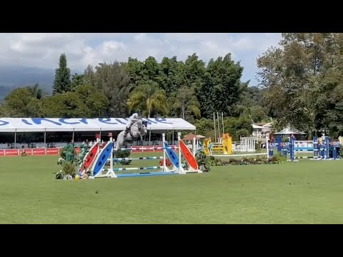 Crack v. Cornet Obolensky und Richard Vogel - Platz 7 über 1,40 Meter